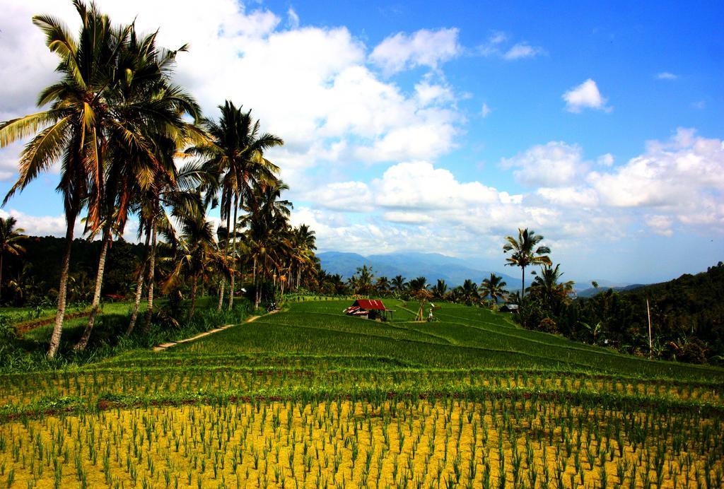 ホテル Puri Alam Bali Munduk エクステリア 写真
