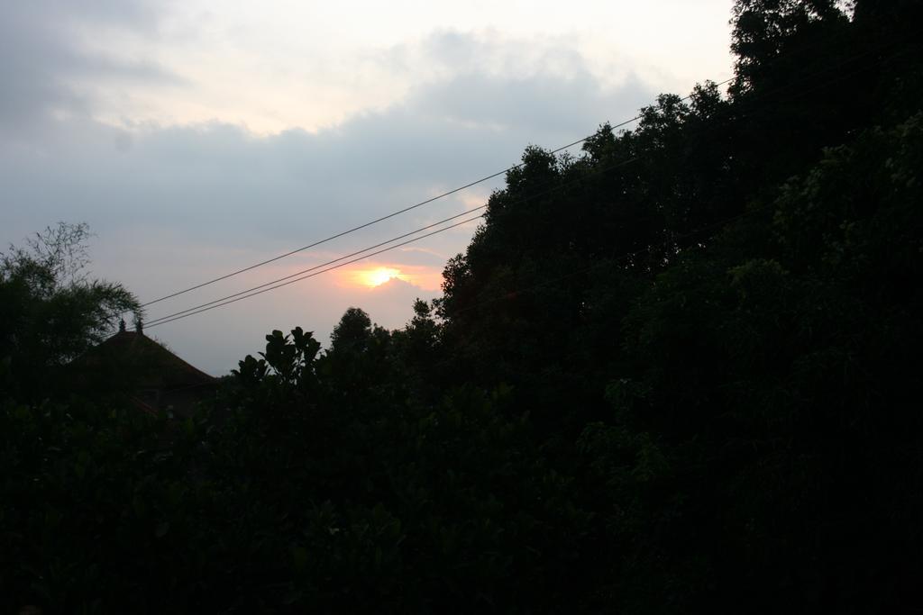 ホテル Puri Alam Bali Munduk エクステリア 写真