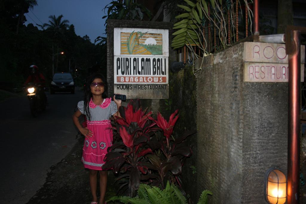 ホテル Puri Alam Bali Munduk エクステリア 写真